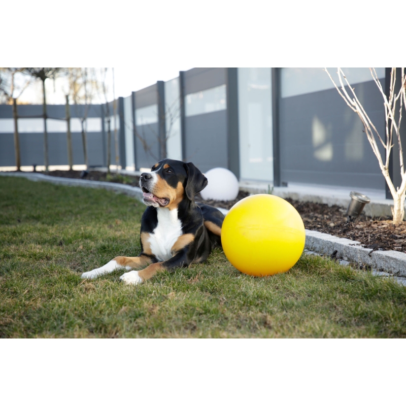 Balle pour chien &Oslash; 30 cm - 82274