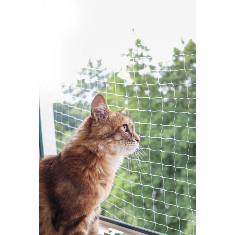 Filet pour chat transparent, 2 x 3 m - 82653