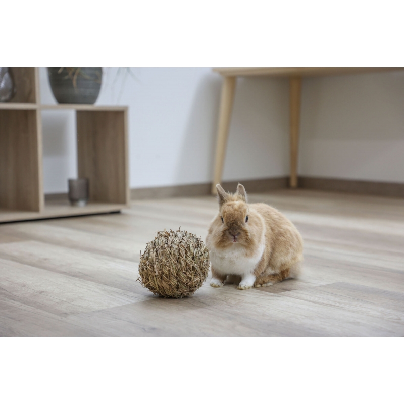 Balle en herbe pour rongeur &oslash; 13 cm - 82768