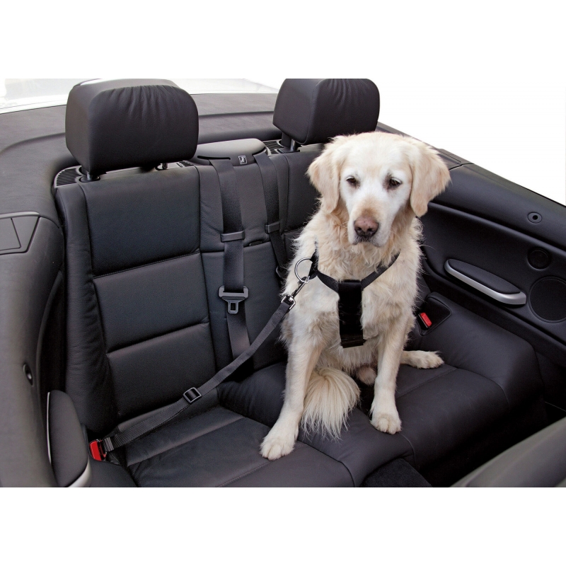 Veiligheidsriem voor honden - 83253