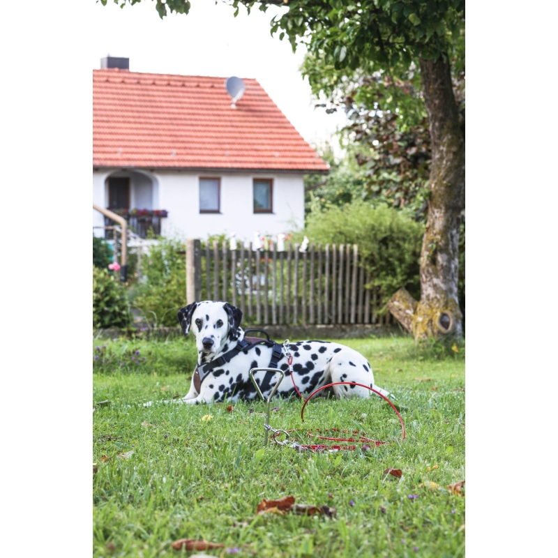Aanlegspiraal 8mm x 40cm met looplijn, 5mm x 6m - 83543