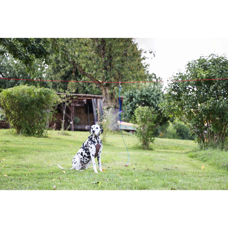 Kit laisse d'attache - 83544