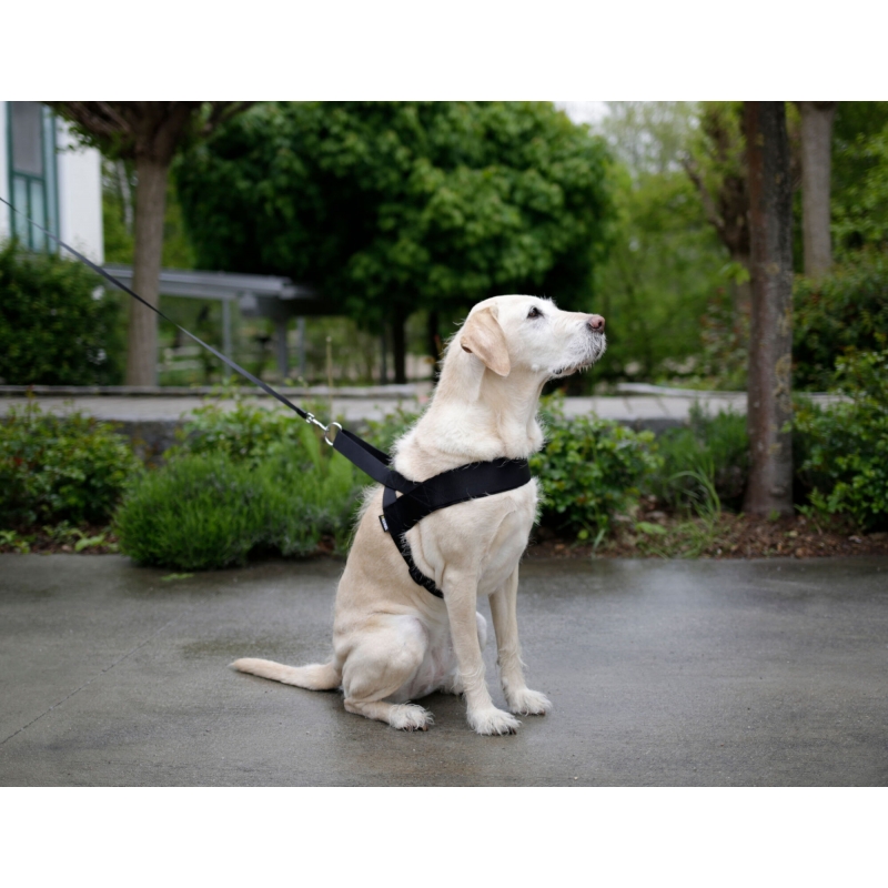 Harnais pour chien Miami Plus noir, 80-100cm - 83943