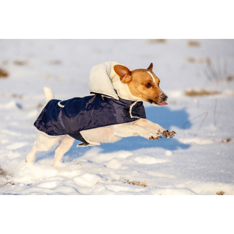 Manteau pour chien Teddy 27cm - 84930