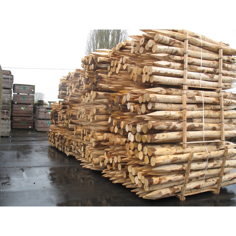 foto fr - KAST-P-H120-DIA6-8CM