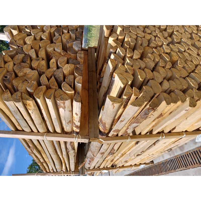 foto fr - KAST-PH-H250-DIA8-10CM