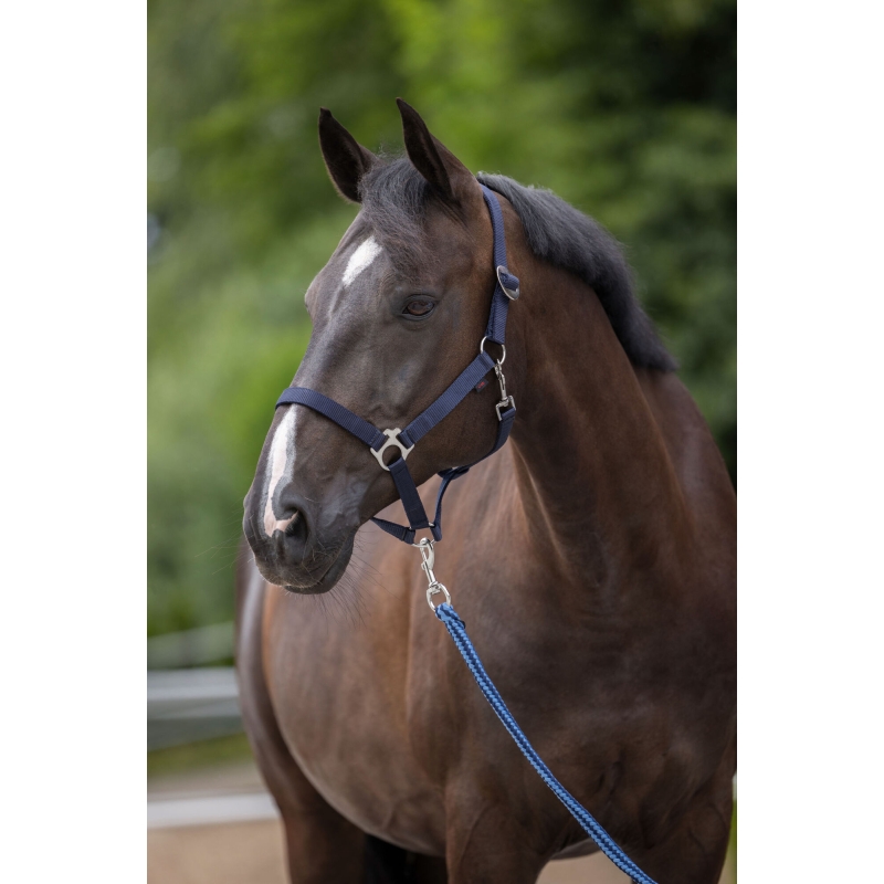 Nylonhalster Hippo, maat 4- navy - 3222134