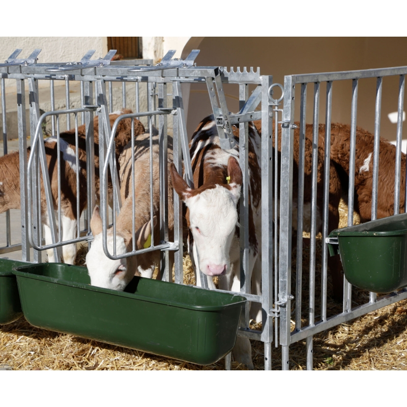 Voederplaatsafscheiding CalfHouse Premium XXL - 14528