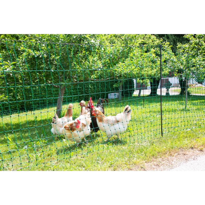 Pluimveenet 106 CM dubbele pen 50M - 292272
