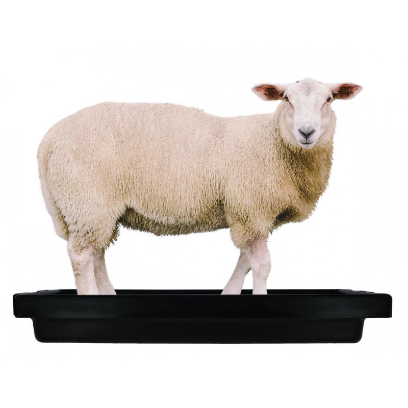 Klauwbad SuperKombi mini AGRODIEREN - 16610