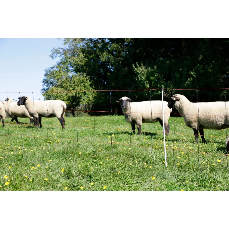 TitanLight Net Agrodieren - 27352