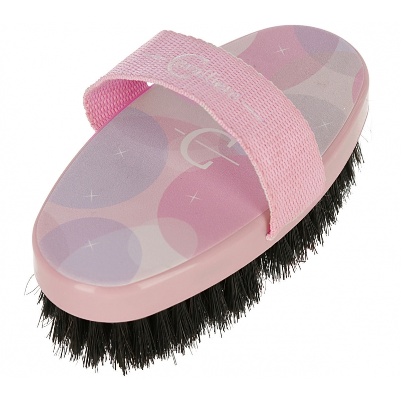 Brosse de lustrage Agrodieren - 3297665