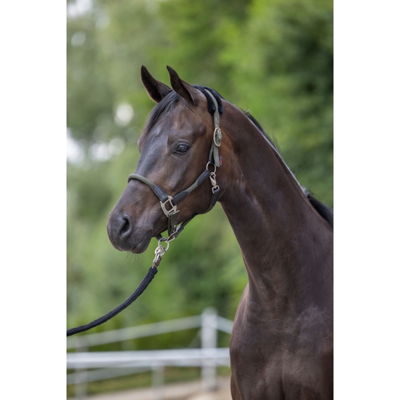 Halster maat 2 - 3297741