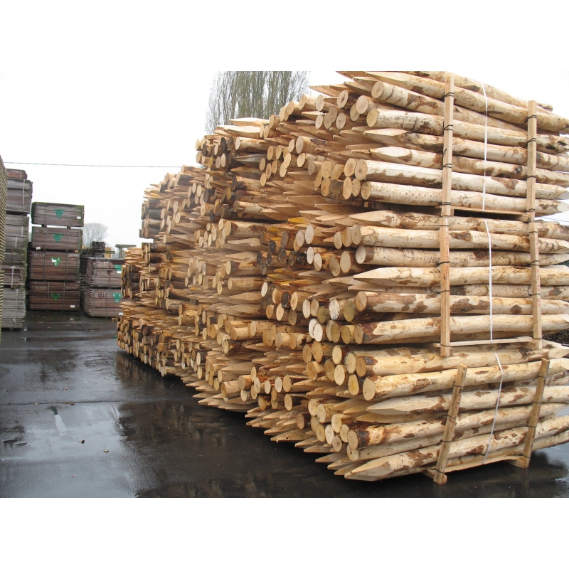 foto fr - KAST-P-H250-DIA12-14CM